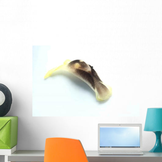 Yellow and Brown Headshield Wall Decal Design 1