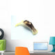 Yellow and Brown Headshield Wall Decal Design 1