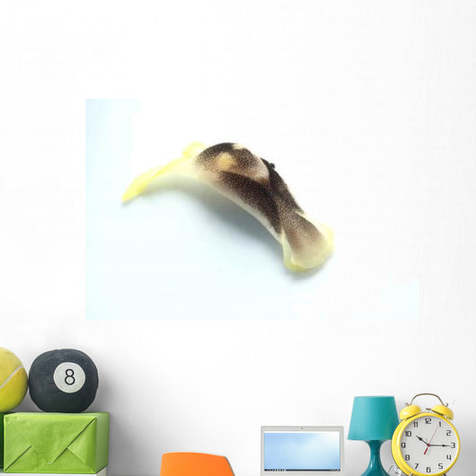 Yellow and Brown Headshield Wall Decal Design 1