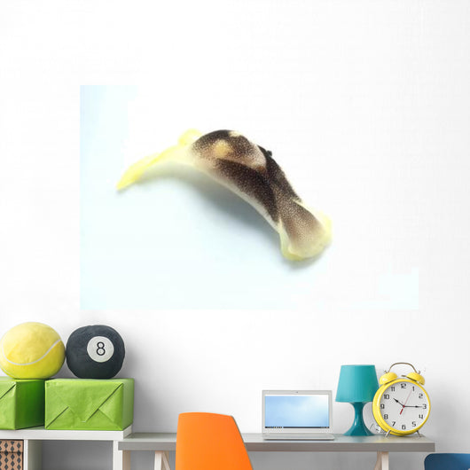 Yellow and Brown Headshield Wall Decal Design 1