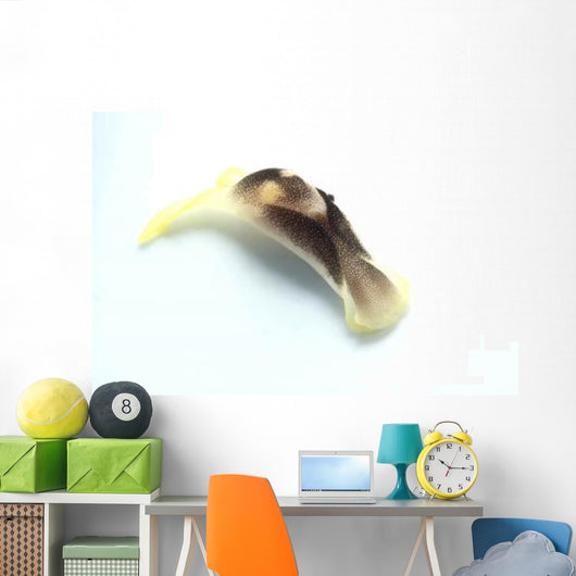 Yellow and Brown Headshield Wall Decal Design 1