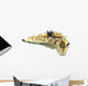 Black-margined Nudibranch White Wall Decal