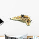 Black-margined Nudibranch White Wall Decal