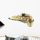 Black-margined Nudibranch White Wall Decal