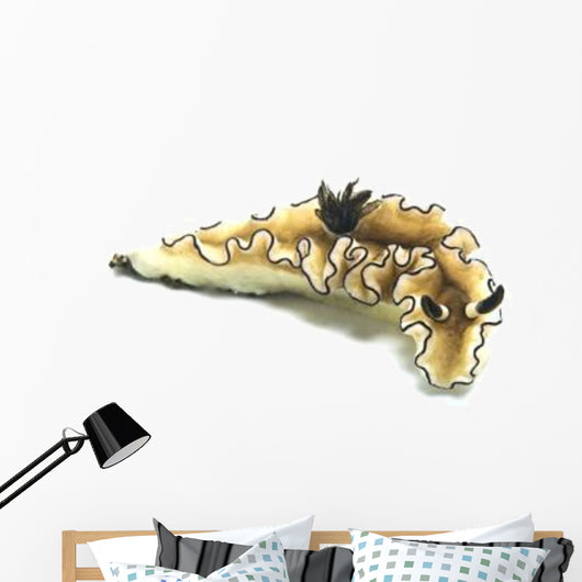 Black-margined Nudibranch White Wall Decal