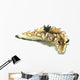Black-margined Nudibranch White Wall Decal