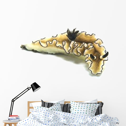 Black-margined Nudibranch White Wall Decal