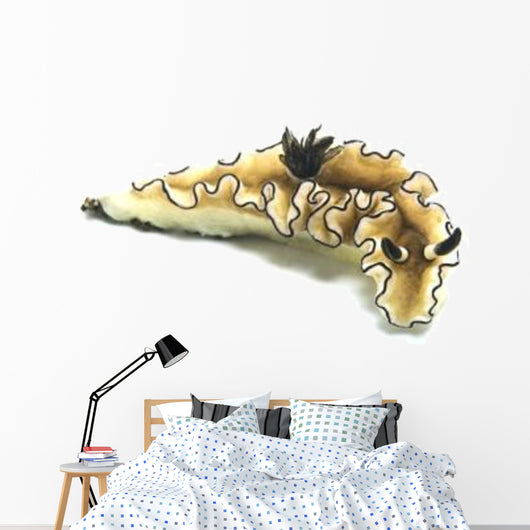 Black-margined Nudibranch White Wall Decal