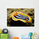 Chromodoris Magnifica Nudibranch Komodo Wall Decal