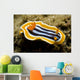 Chromodoris Magnifica Nudibranch Komodo Wall Decal