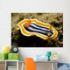 Chromodoris Magnifica Nudibranch Komodo Wall Decal