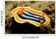 Chromodoris Magnifica Nudibranch Komodo Wall Decal
