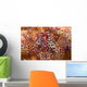 Spotted Periclimenes Colemani Shrimp Wall Decal