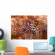 Spotted Periclimenes Colemani Shrimp Wall Decal