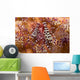 Spotted Periclimenes Colemani Shrimp Wall Decal