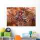 Spotted Periclimenes Colemani Shrimp Wall Decal