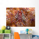 Spotted Periclimenes Colemani Shrimp Wall Decal