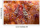 Spotted Periclimenes Colemani Shrimp Wall Decal