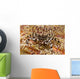 Black and White Zebra Wall Decal