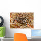 Black and White Zebra Wall Decal