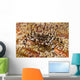 Black and White Zebra Wall Decal