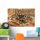 Black and White Zebra Wall Decal