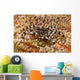 Black and White Zebra Wall Decal