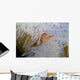 Pink Clownfish White and Wall Decal