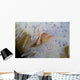Pink Clownfish White and Wall Decal