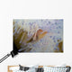 Pink Clownfish White and Wall Decal