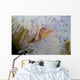 Pink Clownfish White and Wall Decal