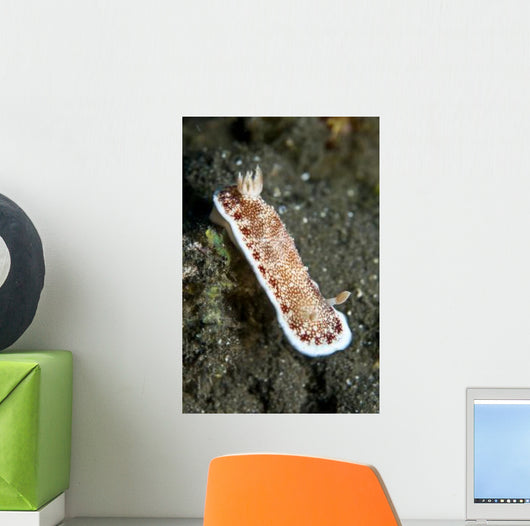 Red and White Spotted Wall Decal