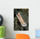 Red and White Spotted Wall Decal