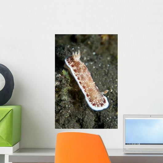 Red and White Spotted Wall Decal