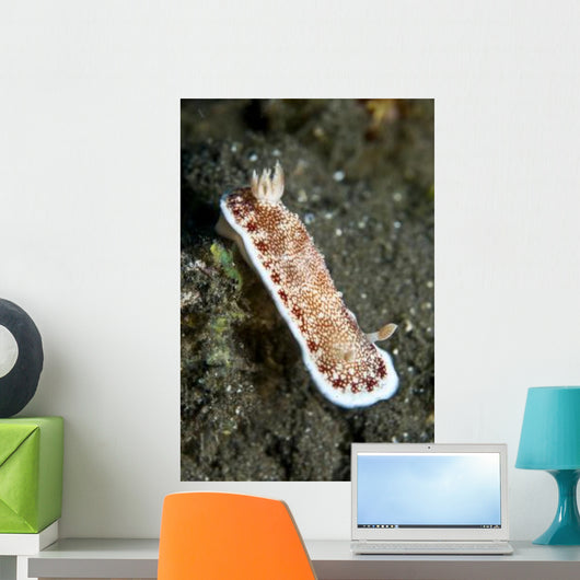 Red and White Spotted Wall Decal