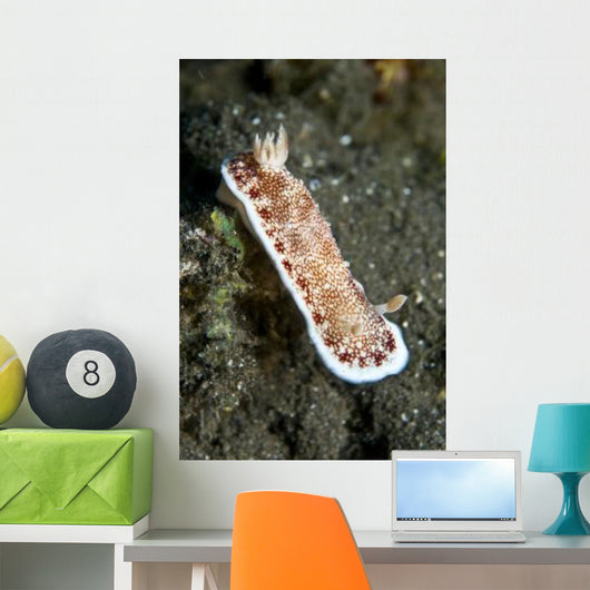 Red and White Spotted Wall Decal