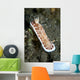 Red and White Spotted Wall Decal