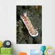 Red and White Spotted Wall Decal
