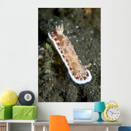 Red and White Spotted Wall Decal