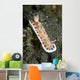 Red and White Spotted Wall Decal