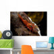 Red Shrimp with Green Wall Decal