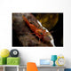 Red Shrimp with Green Wall Decal