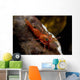 Red Shrimp with Green Wall Decal