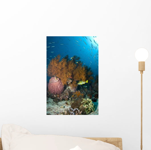 Colorful Reef Scene with Wall Decal Design 2