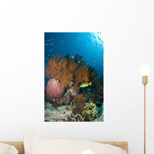 Colorful Reef Scene with Wall Decal Design 2