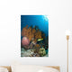 Colorful Reef Scene with Wall Decal Design 2