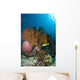Colorful Reef Scene with Wall Decal Design 2