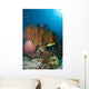 Colorful Reef Scene with Wall Decal Design 2