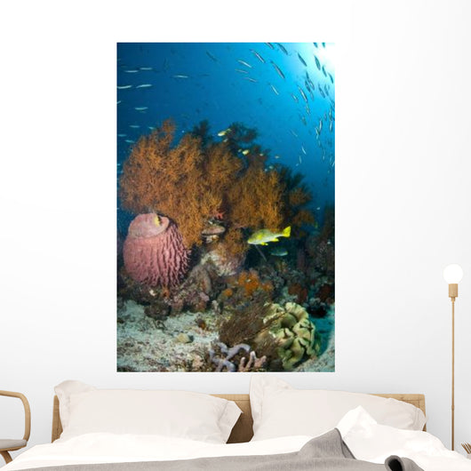 Colorful Reef Scene with Wall Decal Design 2