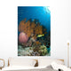Colorful Reef Scene with Wall Decal Design 2